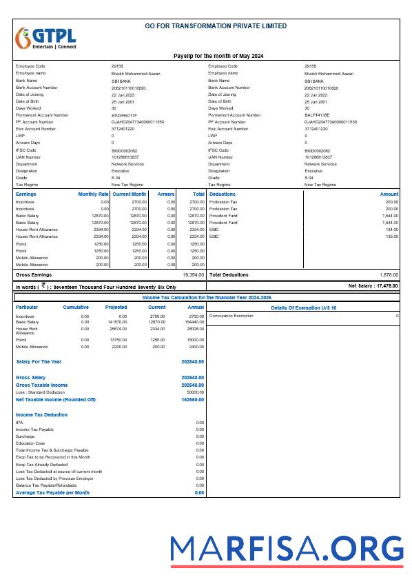 Realistic Go For Transformation payslip template